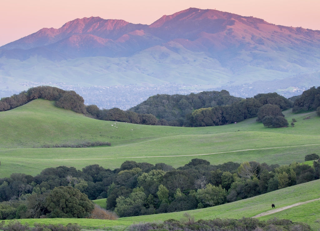 Sunset over Mount Diablo from Rolling Grassy Hills of Briones Regional Park. Taken from Mott Peak in Contra Costa County, California, USA