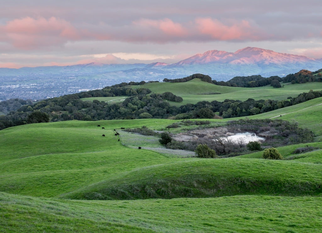 Sunset over Rolling Grassy Hills and Mount Diablo in Northern California. Views from Briones Regional Park looking east. Contra Costa County, California, USA