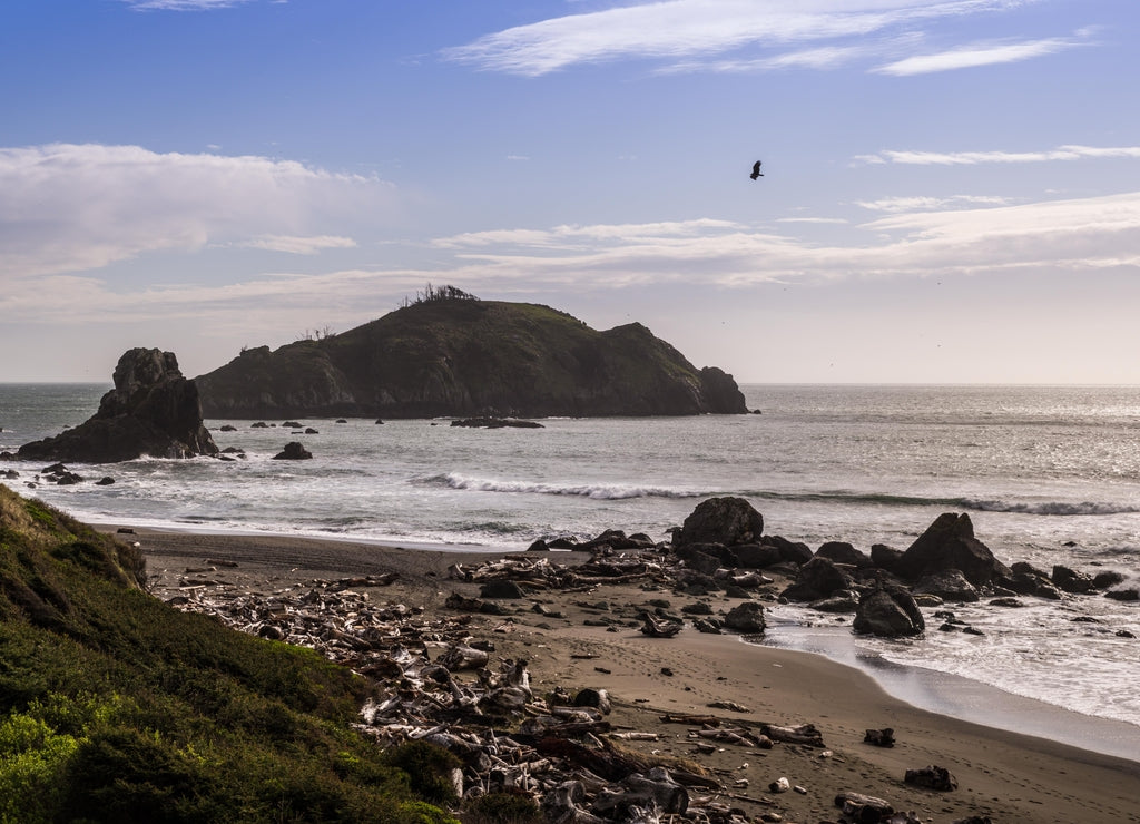 Beautiful seascape in Northern California; Del Norte County near Crescent City; Pacific Ocean