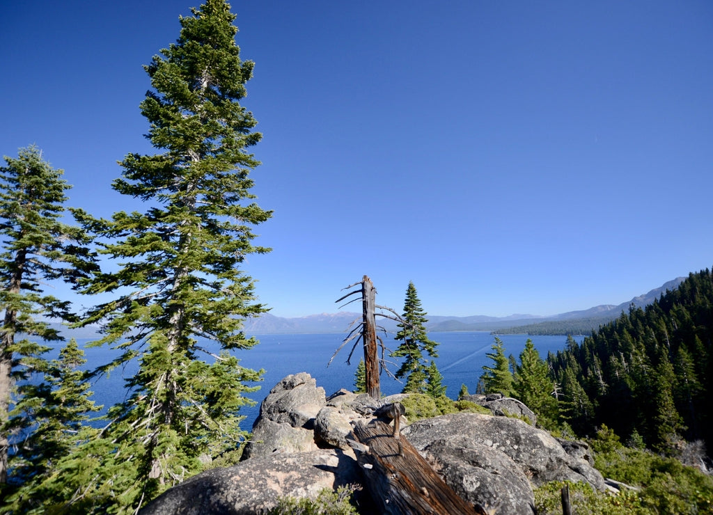 Looking out over Lake Tahoe from the Rubicon Trail between Emerald Bay and D.L. Bliss State Park, California