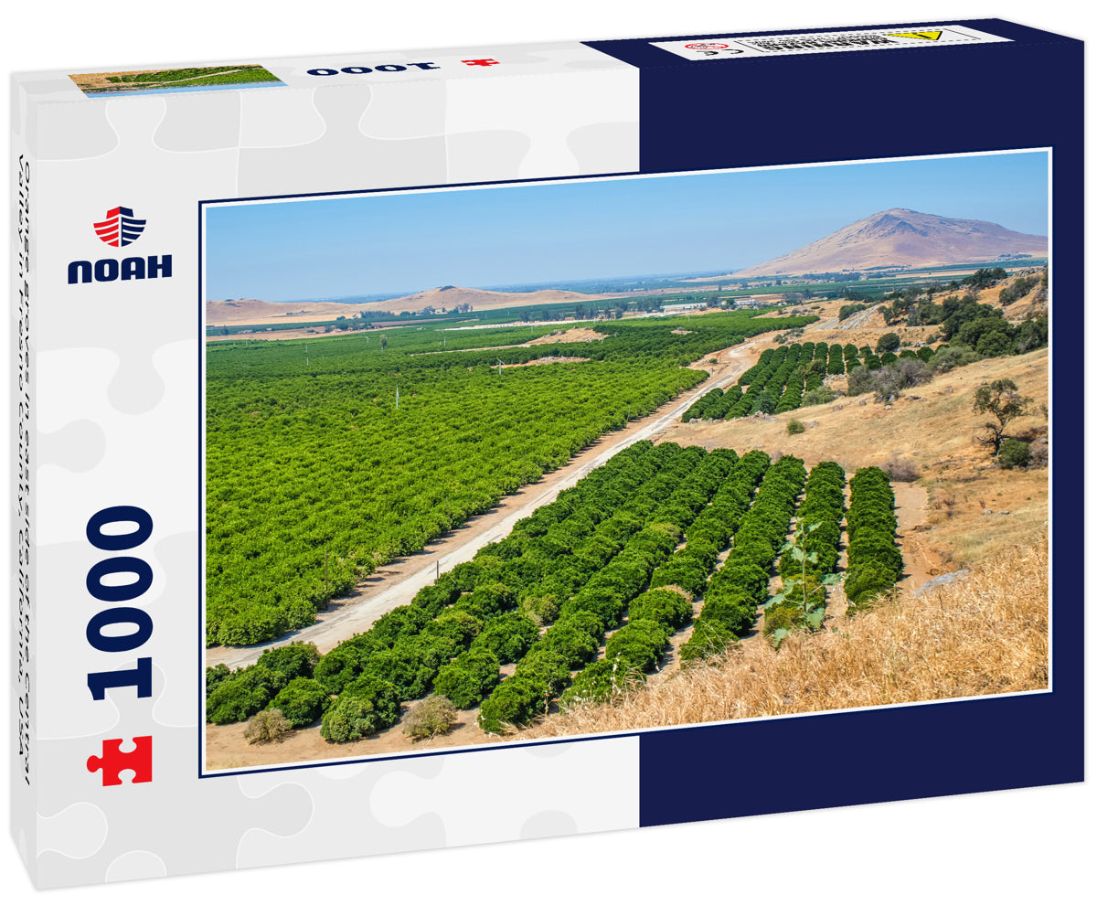 Orange groves in east side of the Central Valley in Fresno County, California, USA
