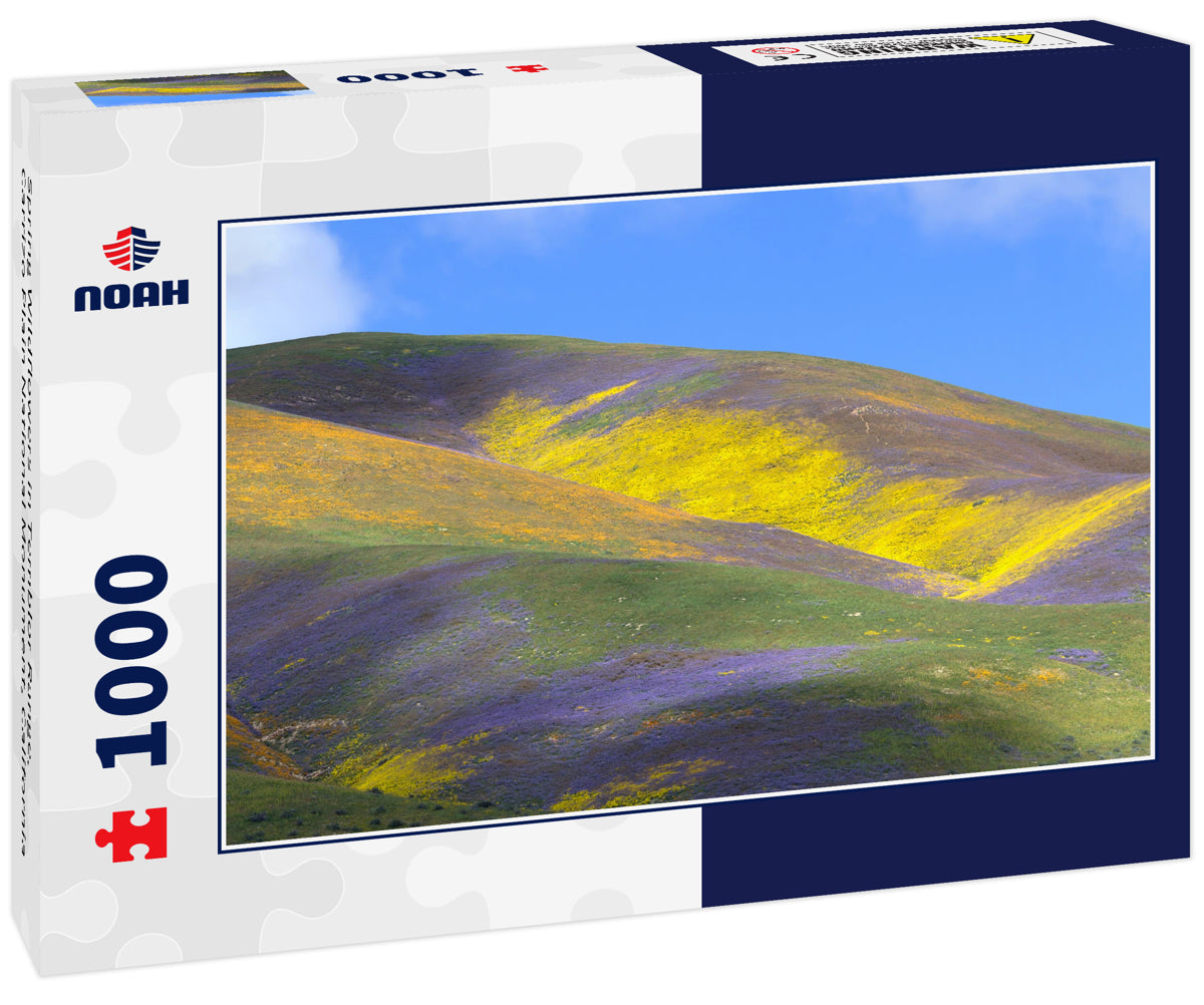 Spring Wildflowers in Temblor Range, Carrizo Plain National Monument, California