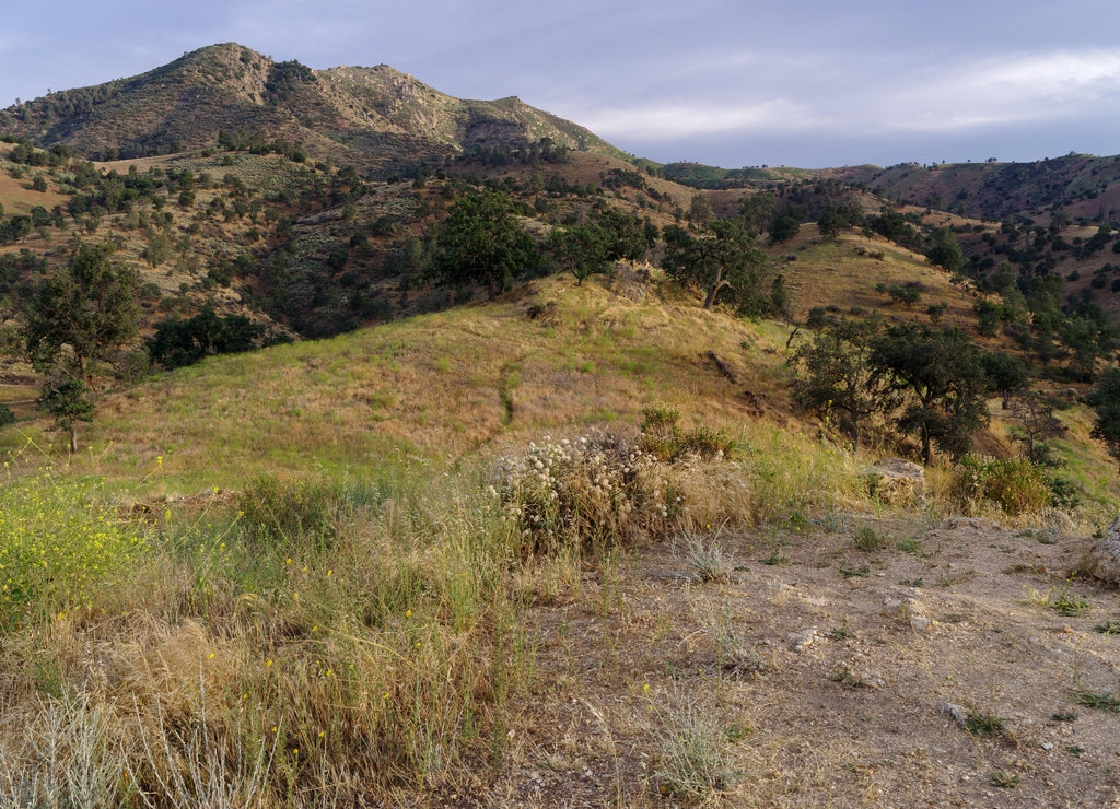 Beautiful landscape near the Tehachapi Loop in Kern county, Southern California