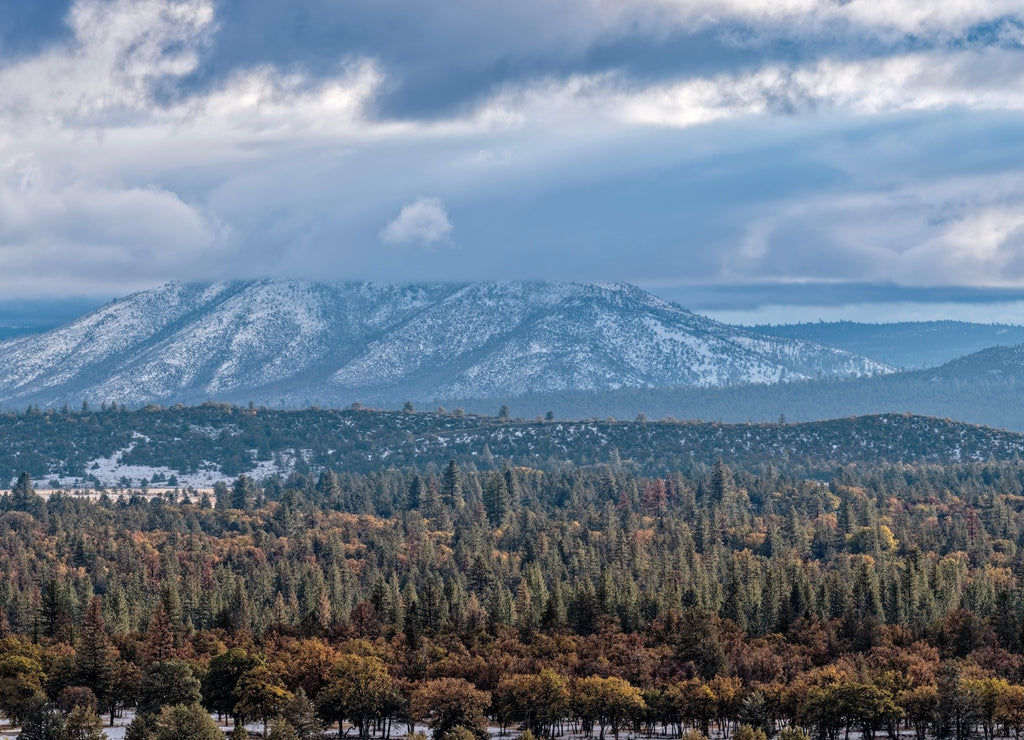Autumn foliage is visible below Widow Mountain, covered in clouds, in Lassen County, California, USA