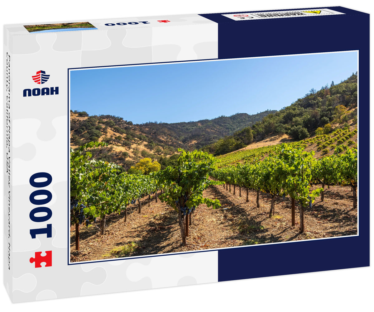 Panorama of Napa Valley Vineyard, Napa County, California, USA