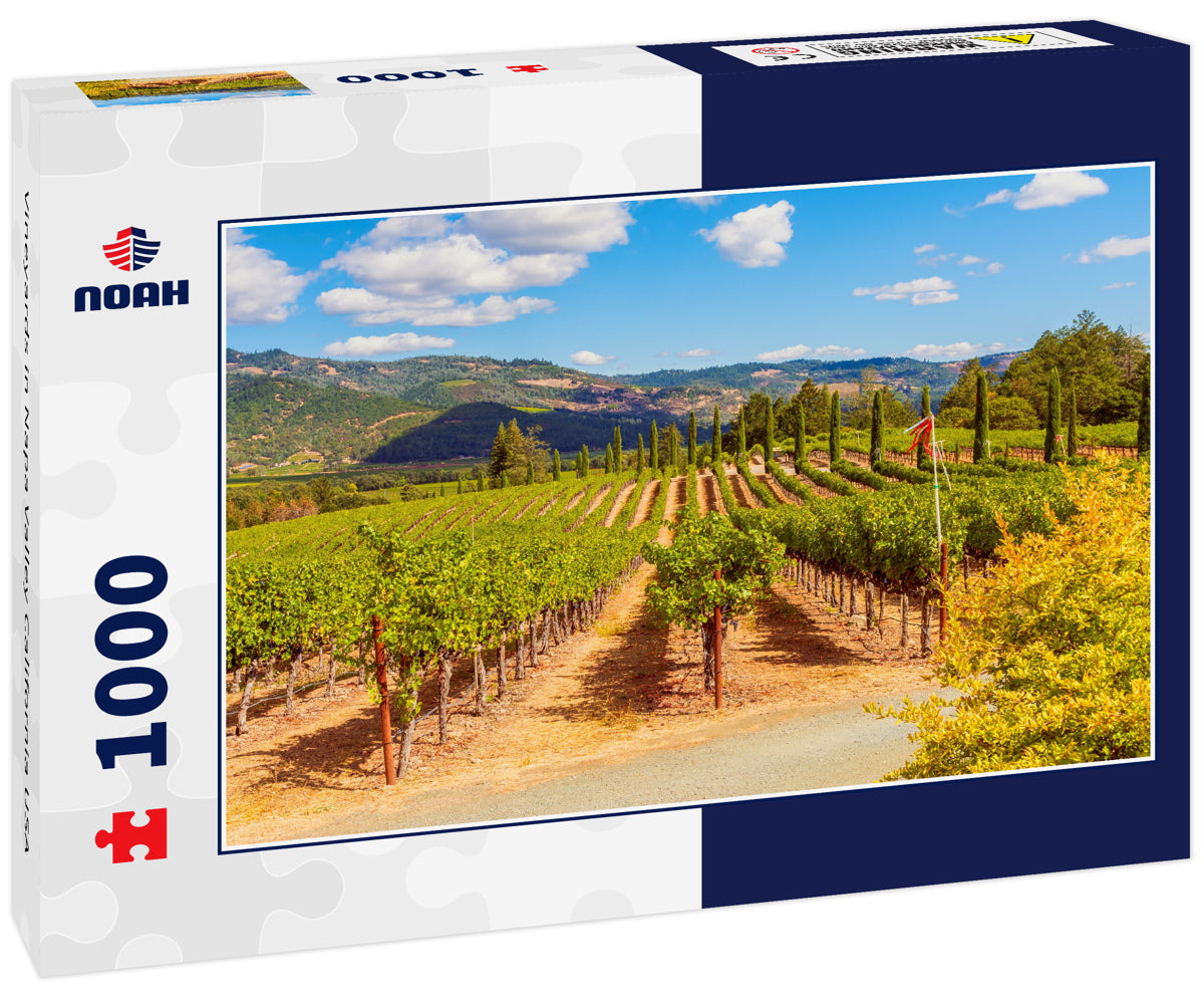 Vineyards in Napa Valley California USA