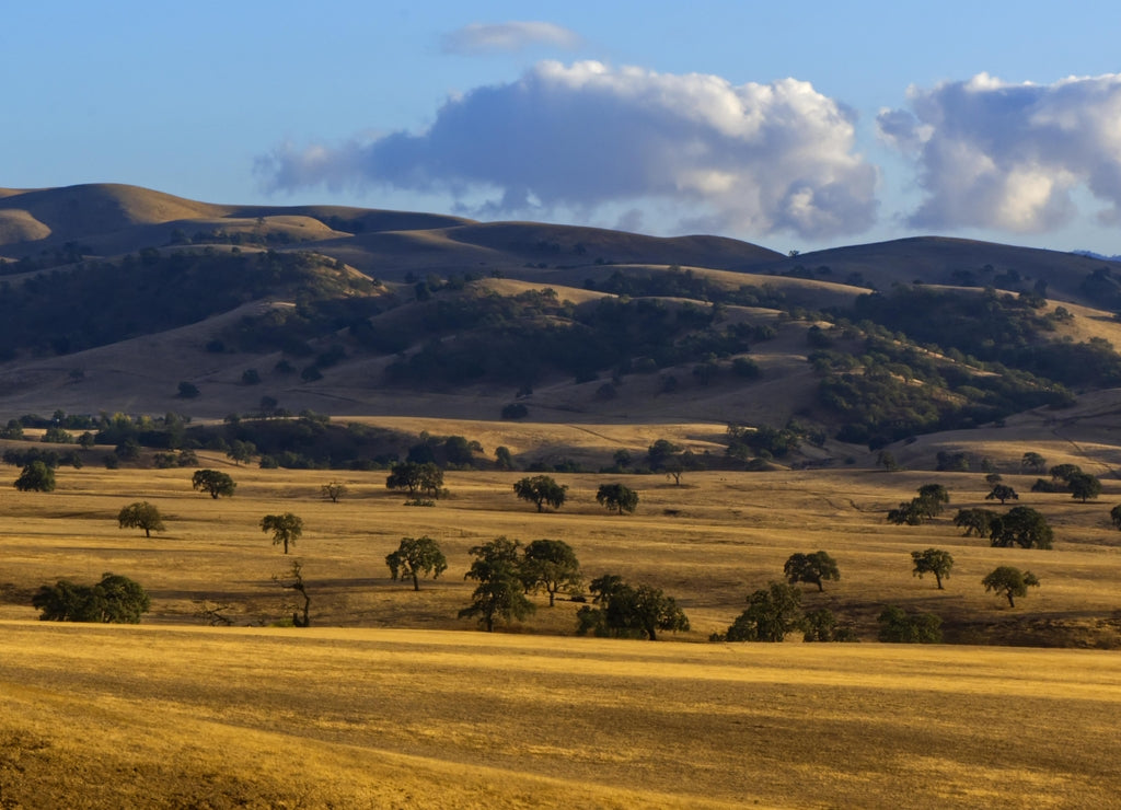 San Benito County Landscape