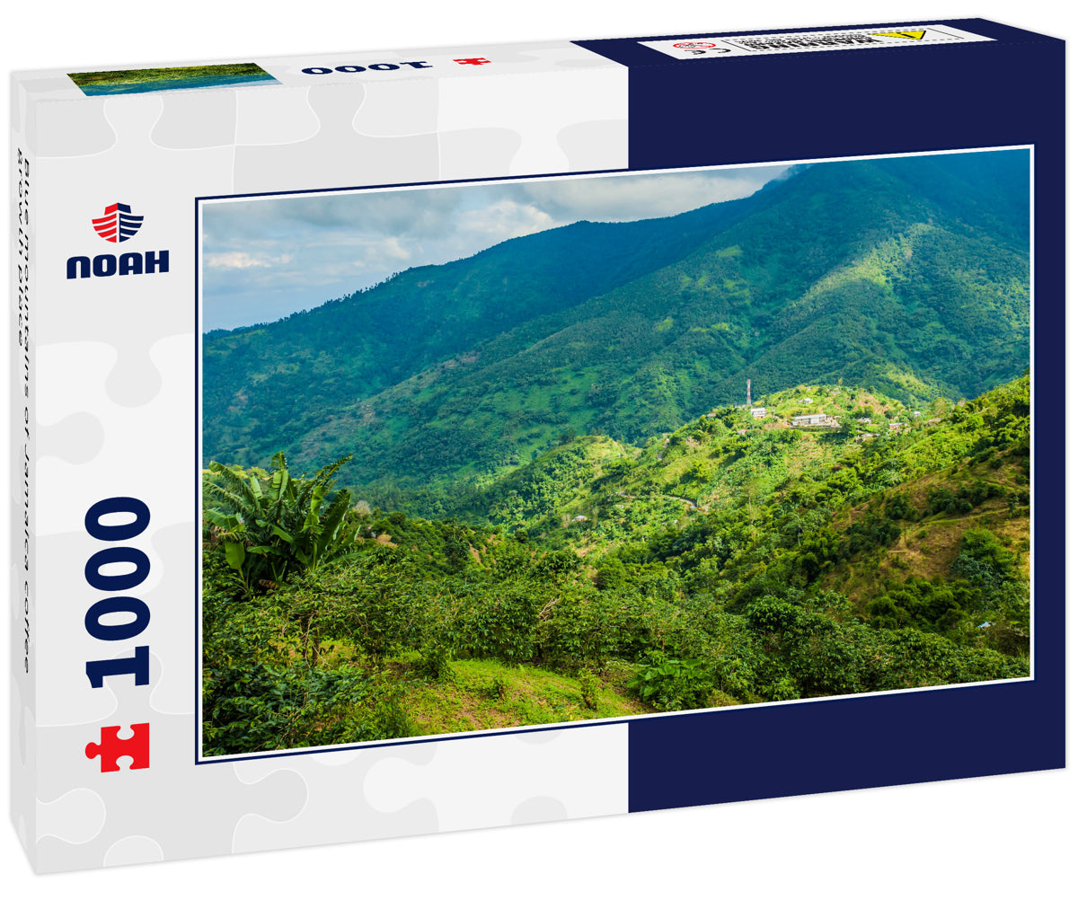 Blue mountains of Jamaica coffee growth place