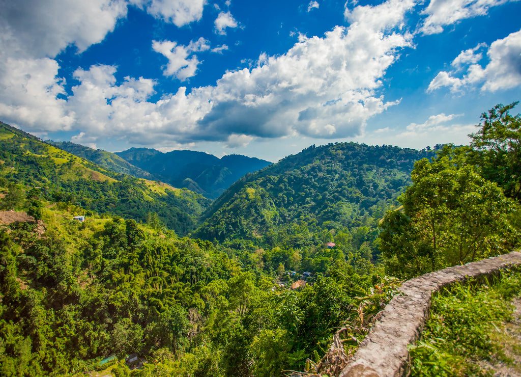 Blue mountains of Jamaica coffee growth place
