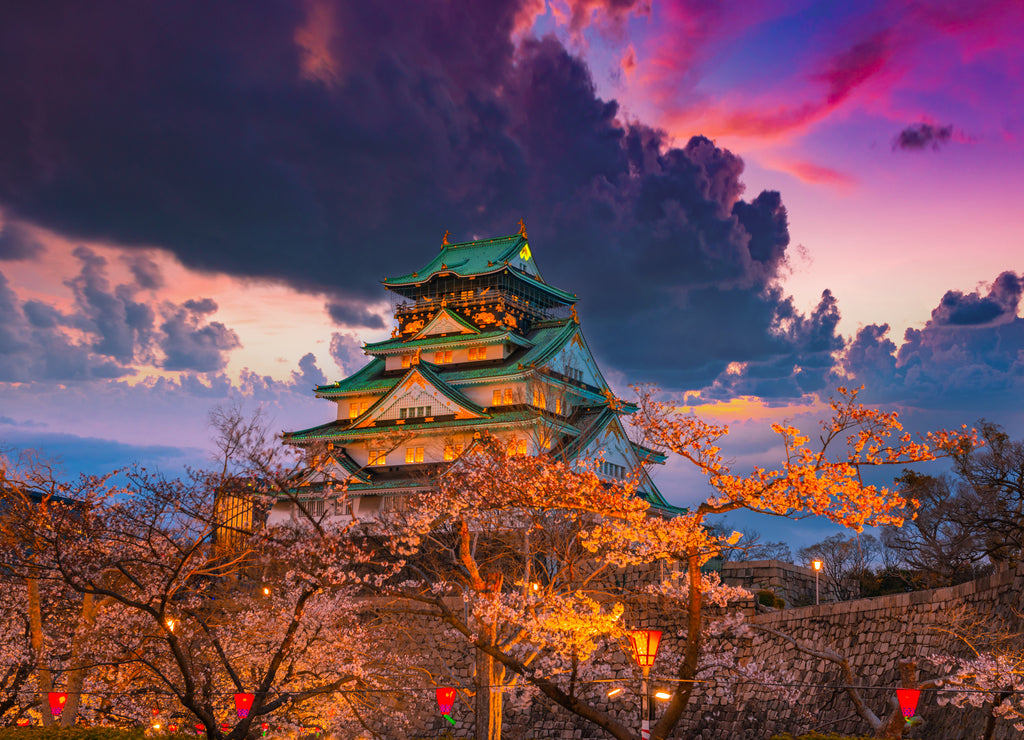 Cherry blossom at Osaka castle Japan at night