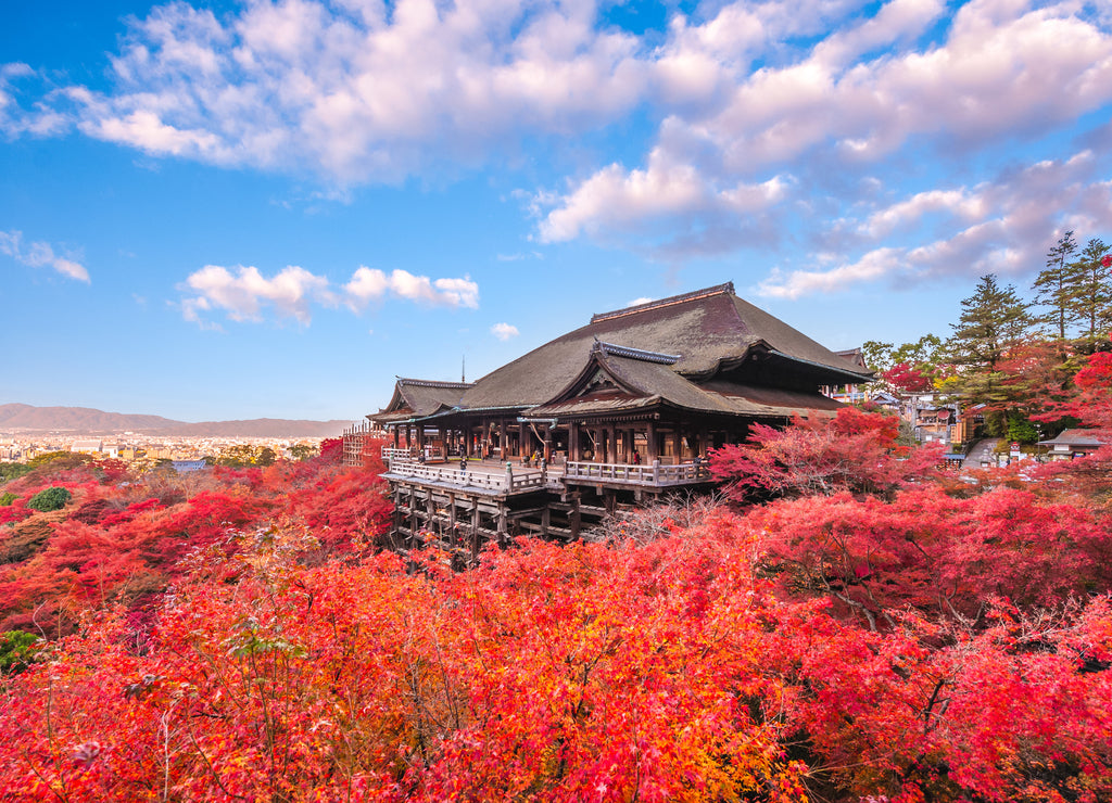 Autumn scenery of Kiyomizu-dera stage Kyoto, Japan