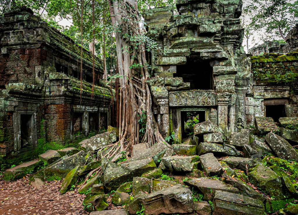Temples of Angkor Wat where the jungle has partially overgrown the ruins near the city of Siem Reap in Cambodia