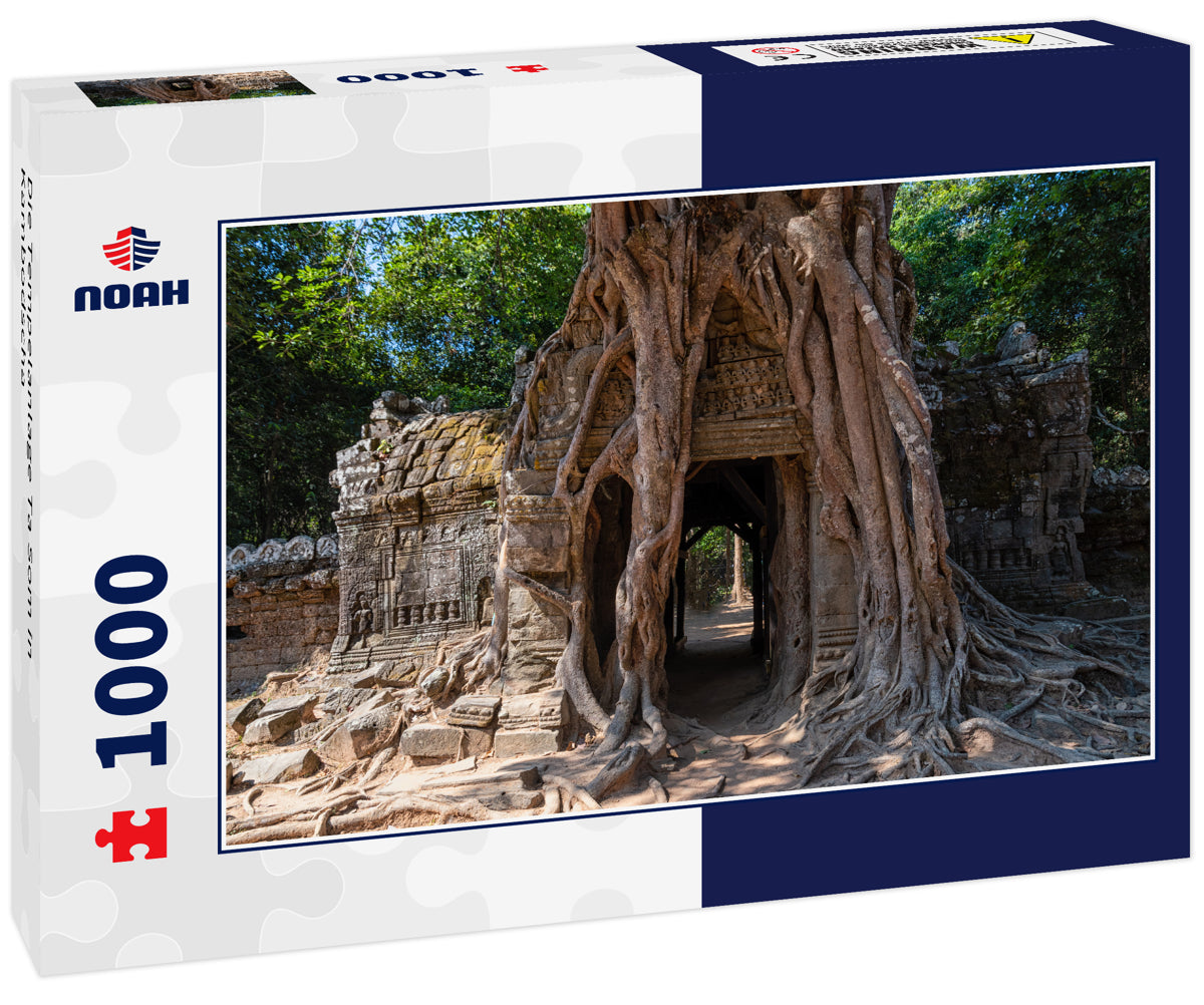 Die Tempelanlage Ta Som in Kambodscha