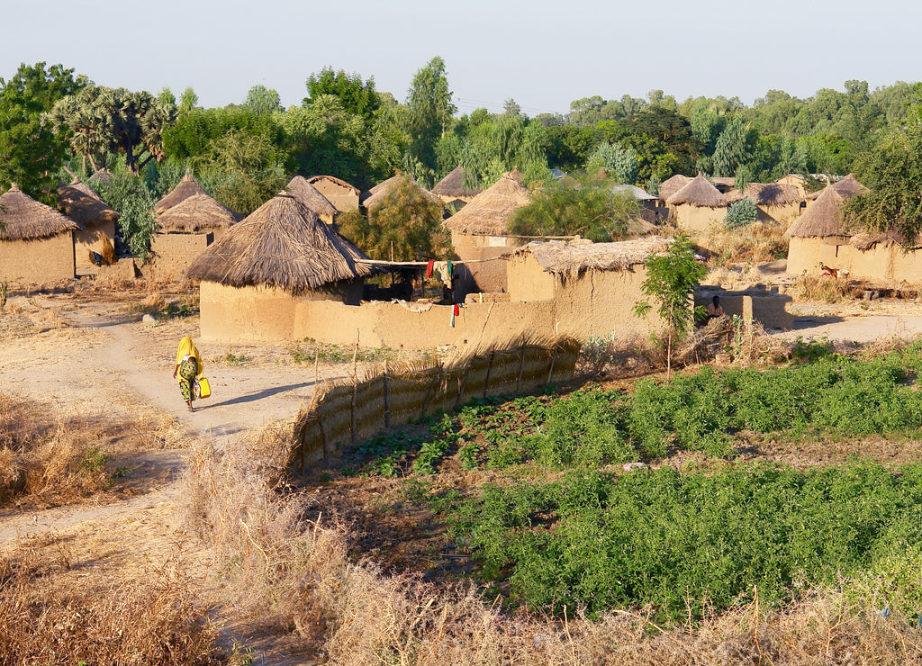 Traditional village in Cameroon