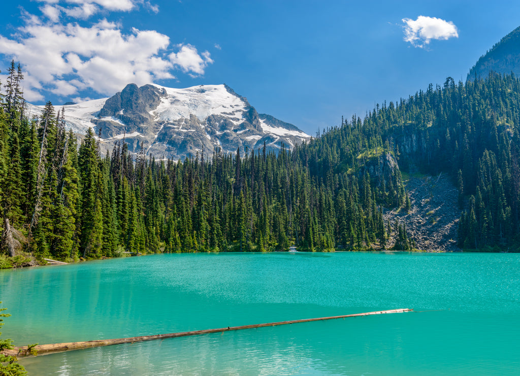 Majestic mountain lake in Canada. Upper Joffre Lake Trail View