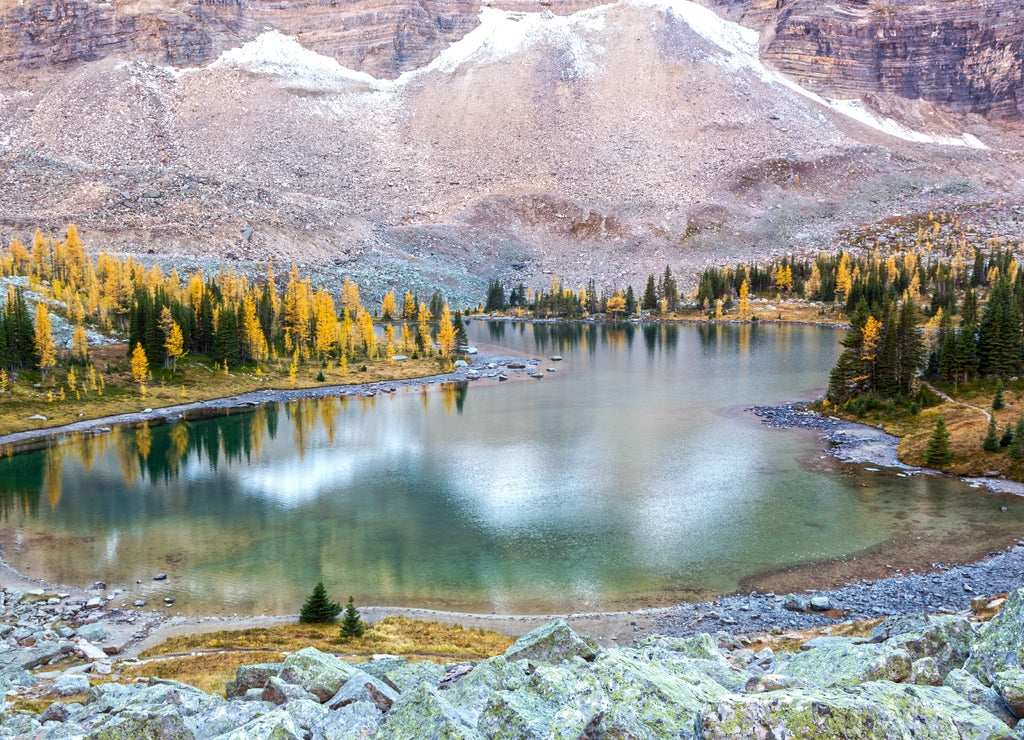Alpine Lake Landscape on Opabin Plateau on Great Hiking Trail above Lake O’Hara during Autumn Colors Change in Yoho National Park British Columbia Canada