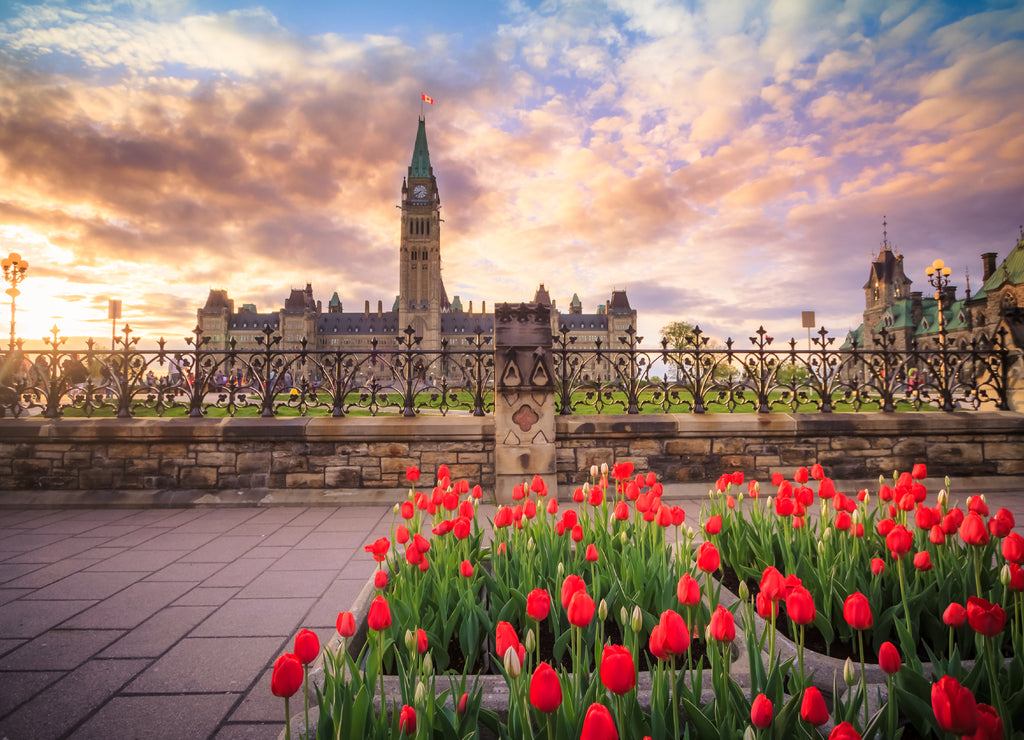 View of Canada Parliament building in Ottawa during tulip festival