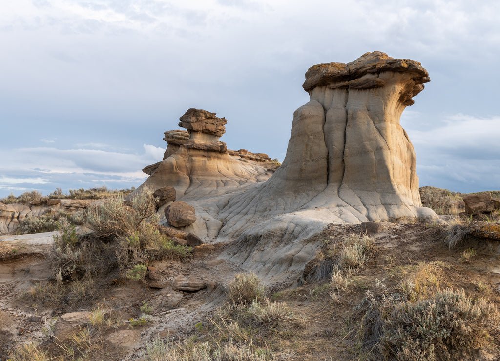 Badlands in the Red Deer River Valley at Dinosaur Provincial Park in Alberta, Canada