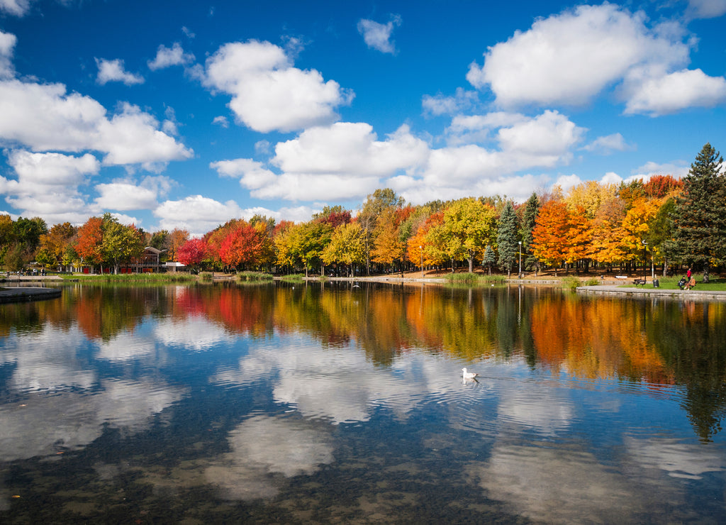 Autumn trees reflected on Beaver Lake, Mont Royal, Montreal, Quebec, Canada