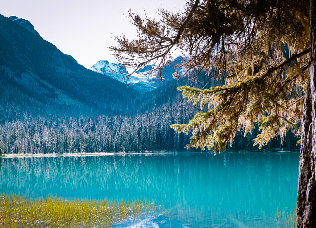 Joffre lakes national park British Colombia Whistler Canada