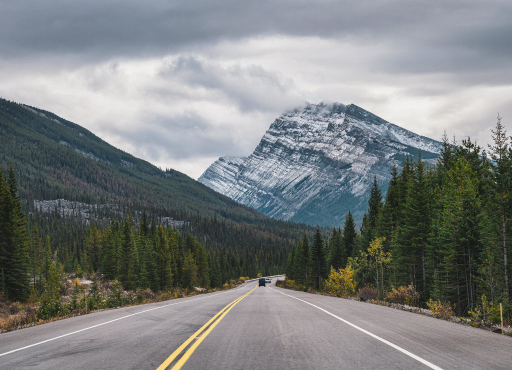 Road trip with Rocky mountains in autumn forest on gloomy at Banff national park