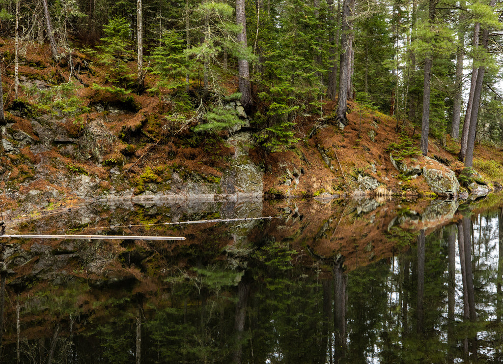 The wilderness of Algonquin in Canada
