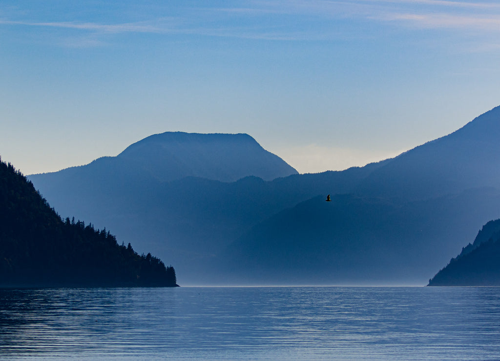 Bootstour in Campbell River, British Colombia, Canada in den Inlets