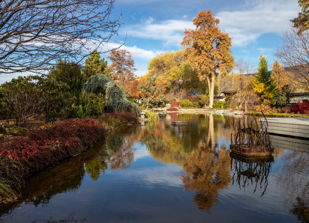 Ikeda Japanese Garden in autumn in Penticton, BC