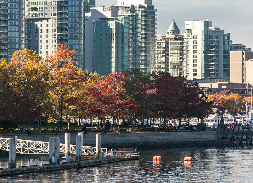 Autumn Park in downtown in Vancouver, British Columbia, Canada. Autumn Cityscape Vancouver