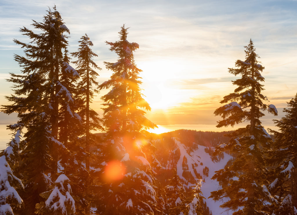 Sunset View from top of Hollyburn Mountain in Winter Season. West Vancouver, British Columbia, Canada