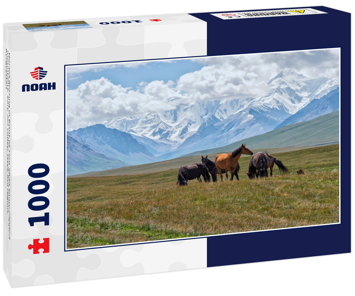 Horses grazing in front of Tien Shan snow-capped mountains, Sary Jaz valley, Issyk Kul region, Kyrgyzstan
