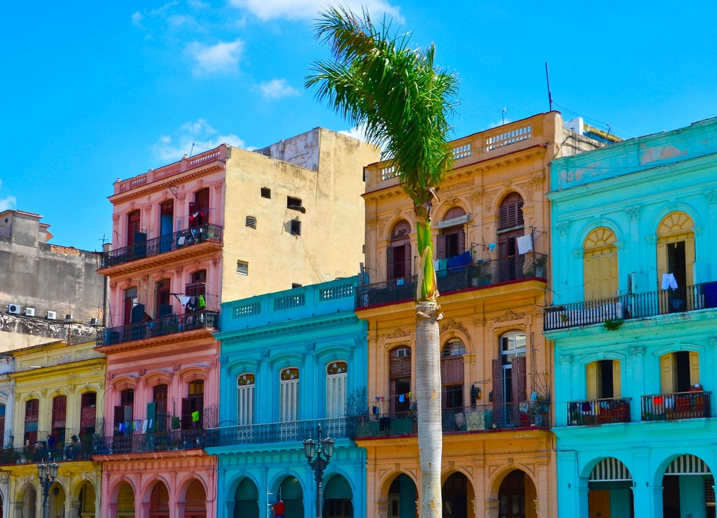 Havana, Cuba, colorful colonial houses, blue sky background, palm tree in front