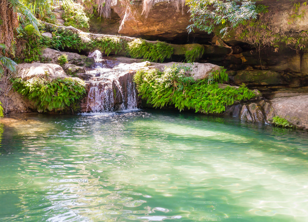 Stunning oasis called "la piscine naturelle", a palm-fringed pool constantly fed by a crystalline waterfall, Isalo National Park, Madagascar