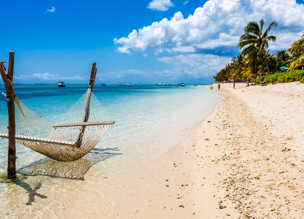 tropical beach with palm trees and hammock, the Morne, Mauritius