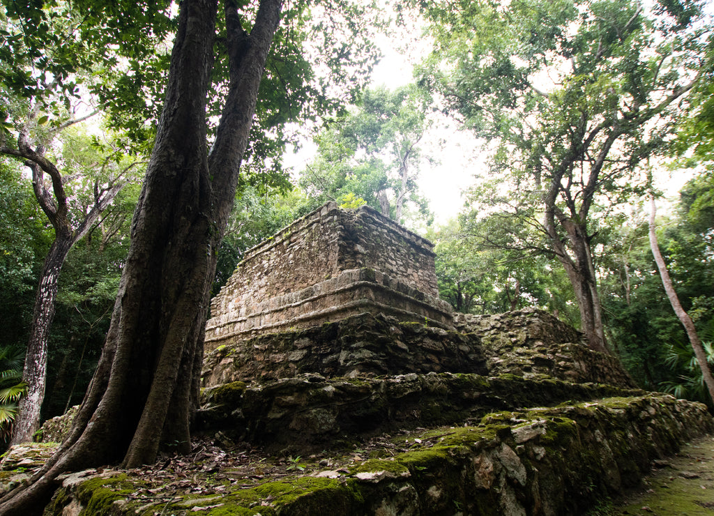 Mayan ruins in the middle of the Mexican jungle, ancient stone buildings invaded by plants and trees
