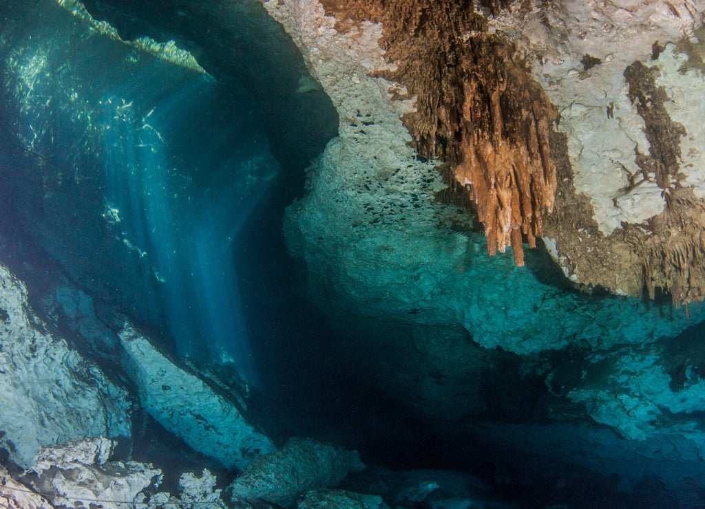 Scuba diving at the Cenote Jardin del Eden in Mexico