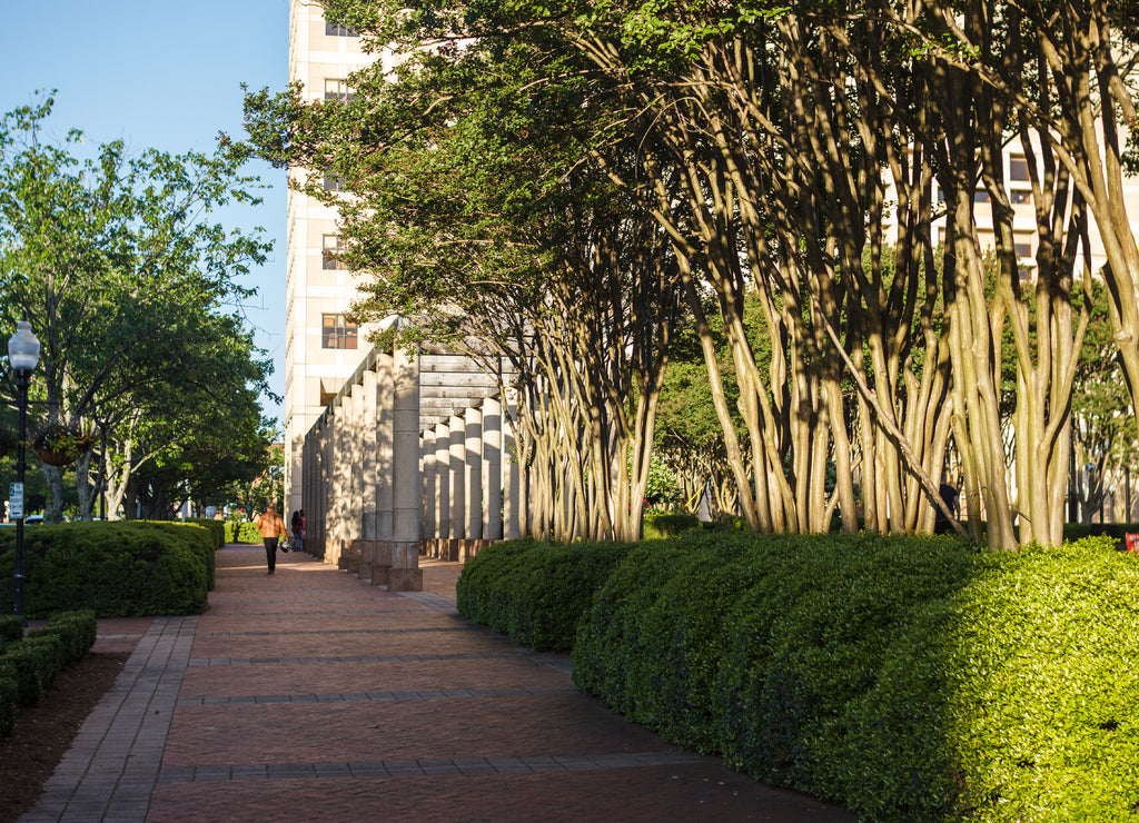 Spartanburg, South Carolina, USA. The city street in the summer, lit by the sun. City with columns and beautiful green bushes