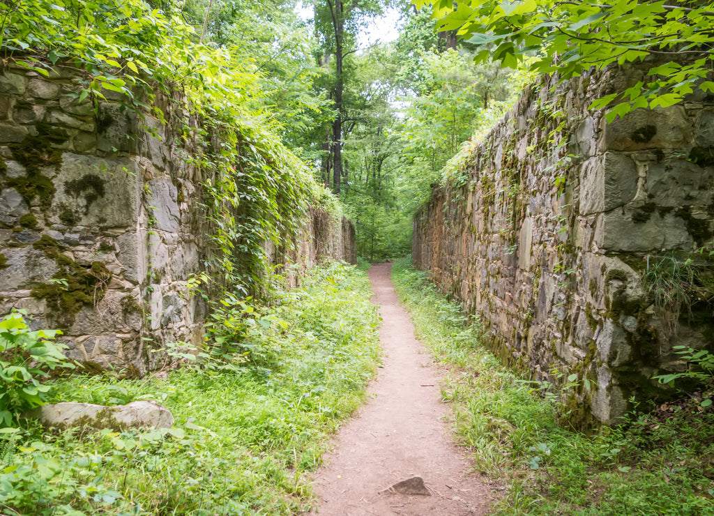 scenes around landsford canal state park in South Carolina