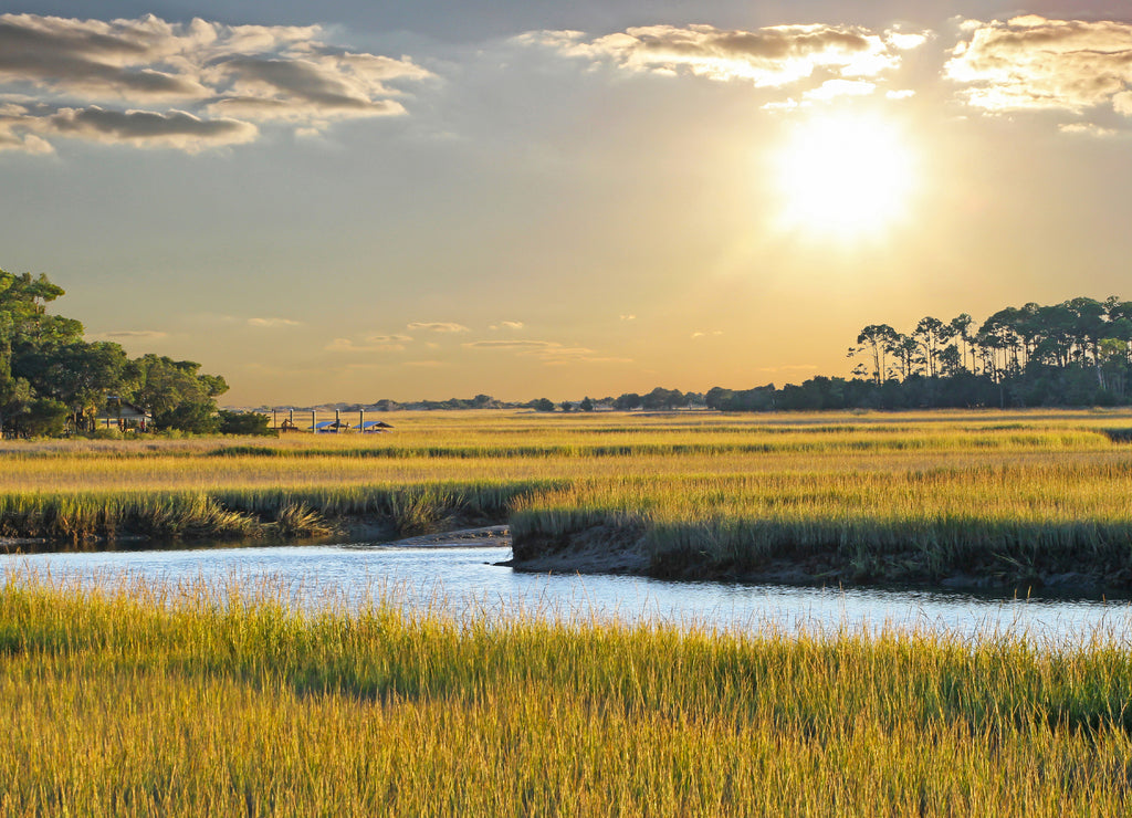 South Carolina Salt Marsh Sunset