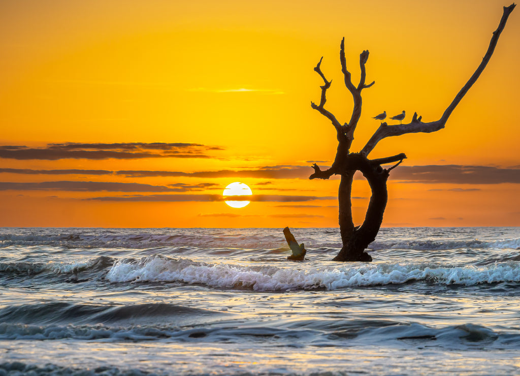 Sunrise at the South Beach Boneyard