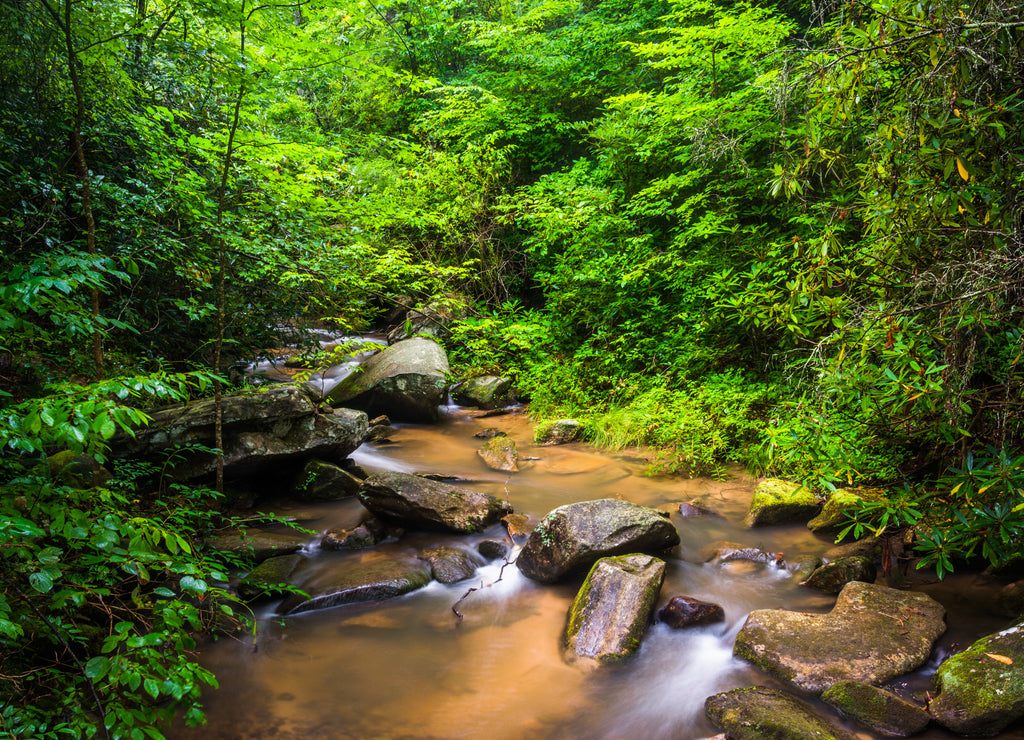 Small cascades on Carrick Creek, at Table Rock State Park, South Carolina
