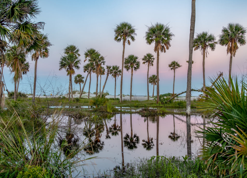 scenes around hunting island south carolina in summer