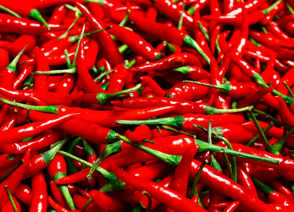 red chilli pepper, New Mexico