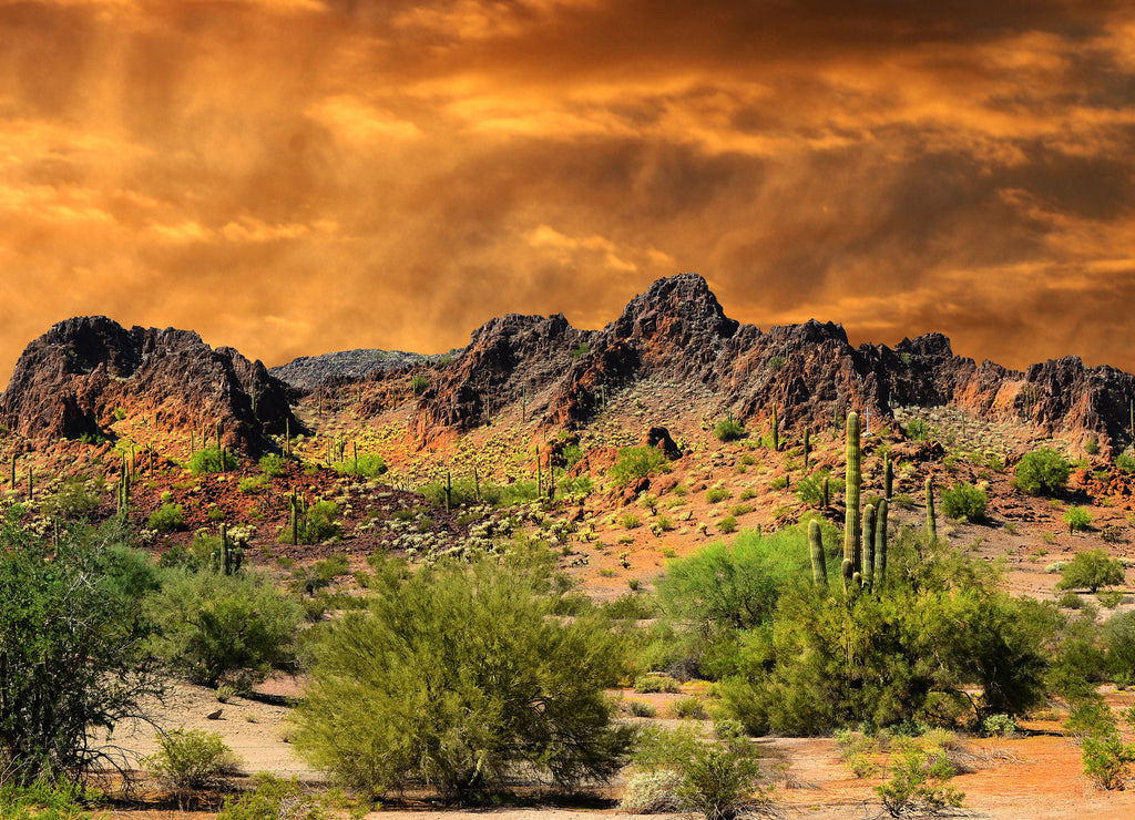 New Mexico Border