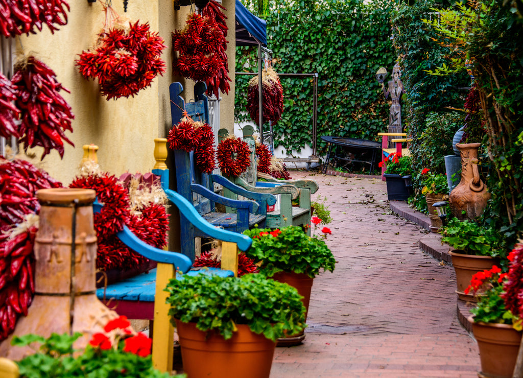 Peppers and Benches, New Mexico