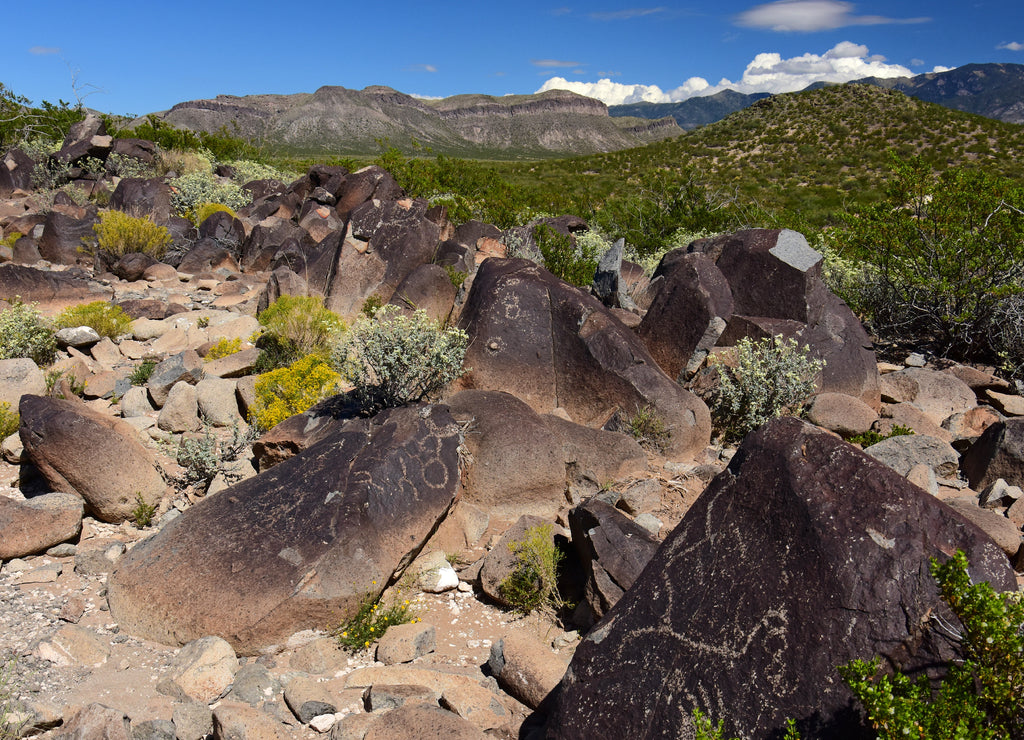 the ancient native american petroglyphs on a sunny fall day at three rivers petroglyph site, near tularosa, new mexico