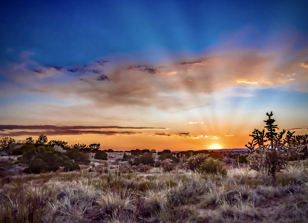 Beautiful sunset over a field in Santa Fe, New Mexico