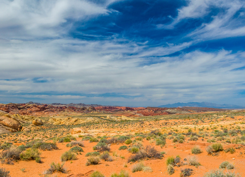 Stone desert, New Mexico