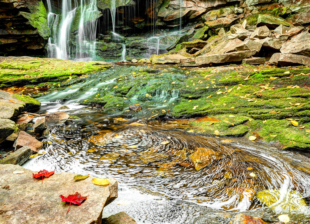 Elakala waterfall in Blackwater Falls State Park in West Virginia during autumn with red leaves foliage