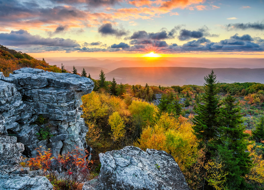 Scenic sunrise, Dolly Sods, West Virginia